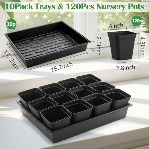 4 inch (10CM) Square Nursery Pots 120pcs, Sturdy Seedlings Trays 10 Pcs, Seeds Starter Germination Tray, Microgreening Planter Nursery Propagation 10 Sets (4" Pots-120P + 16.2" x 13.2" x 2.6" Trays-10P)