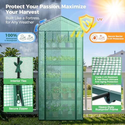 Mini Greenhouse for Indoor Outdoor (Green / 5 Tier Single Layer Roof)