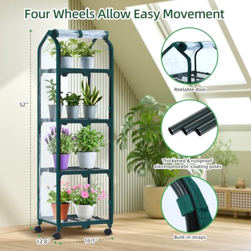 Mini Greenhouse for Indoor Outdoor
