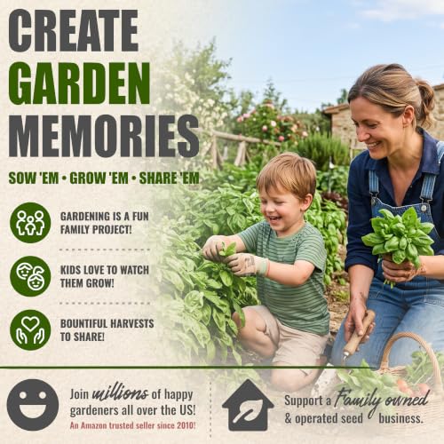 Genovese Sweet Basil Seeds Heirloom Non (5 Packs)