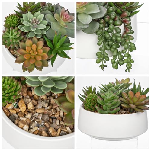 Artificial Succulent Plants in Pot 5.5 Inch Fake Succulents Arrangement (White Ceramic#style 2)