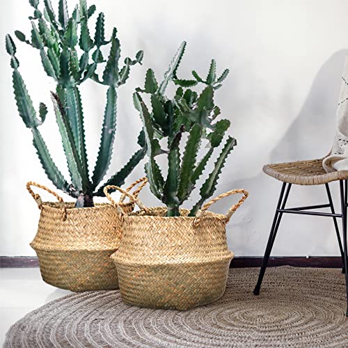 4 Pcs Woven Seagrass Baskets Belly Basket (4 Count)