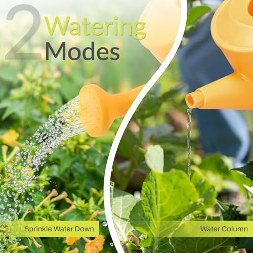 Kids Watering Can 700ml Detachable Nozzle for Indoor Plants