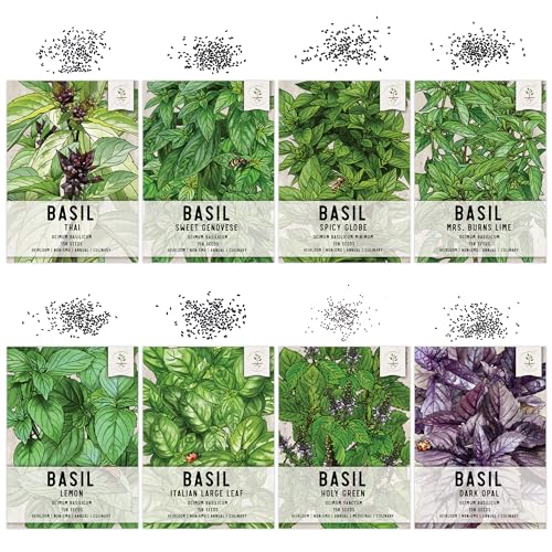 Basil Seeds Variety Pack of 8 Herbs for an Indoor Outdoor Garden