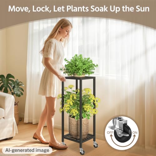 Plant Stand Shelf Indoor Outdoor Tall Corner (Standard Black / 2 Tier)