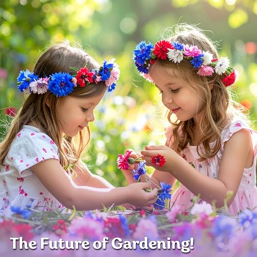 800 Mix Bachelor Button Heirloom Flower Seeds