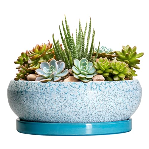Succulent Pots 8 Inch (8 Inch / Blue-white)