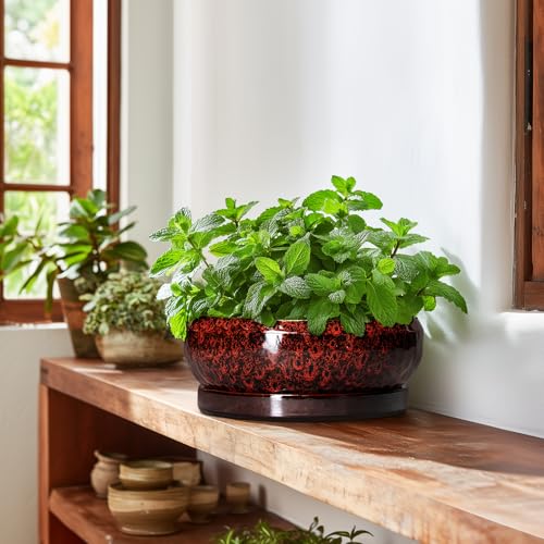 Bonsai Tree Pots (10 Inch / Leopard Red)