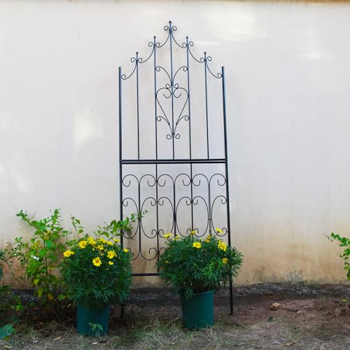 Garden Trellis for Climbing Plants 70.8" H x 25.6" W Metal Premium Quality Material Rust (70.8 inch-1 pack / Black)