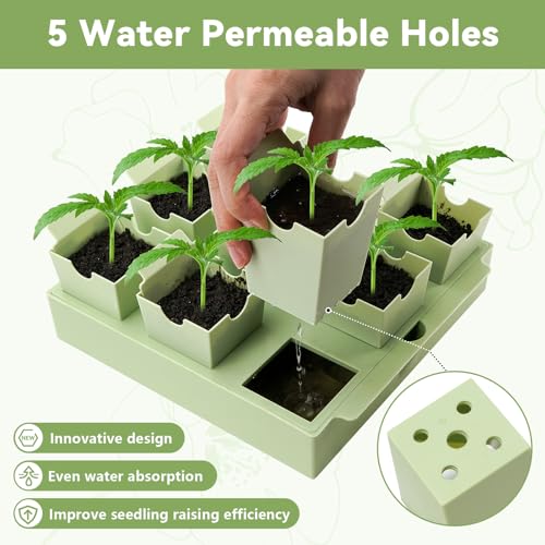 2 Pack Seed Starter Trays