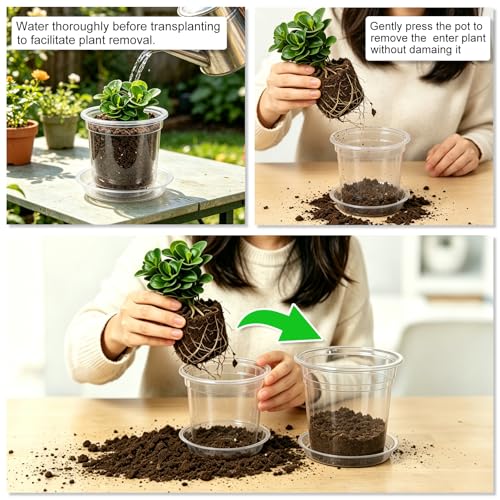 4/5/6/7 Inch 20 Pack Clear Plastic Nursery Pots with Drainage and Saucer (4/5/6/7inch 20pack)