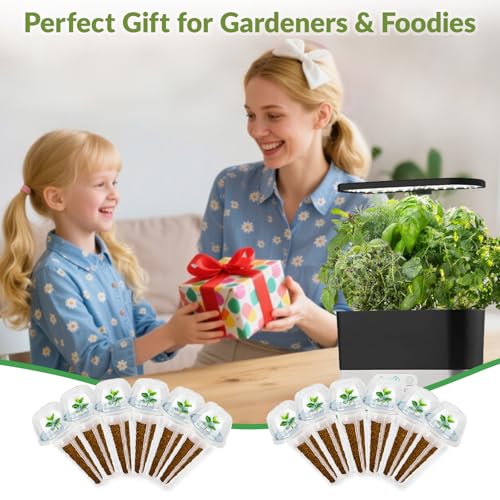 Herb & Salad Seed Pods Kit Hydroponic (Herb & Veg)