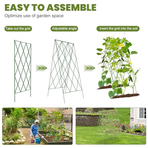 Cucumber Trellis 2 Pack (Grass Green / 39.4" H)