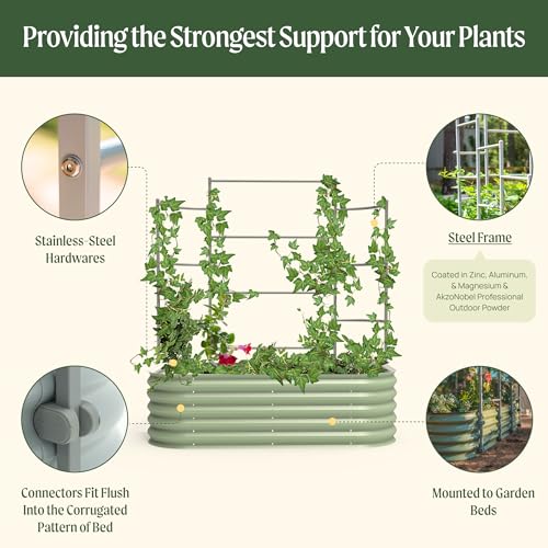 Modular Wall Trellis System