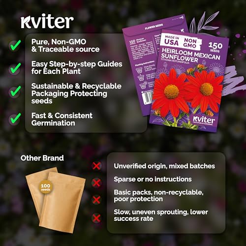 150 Mexican Sunflower Heirloom Flower Seeds