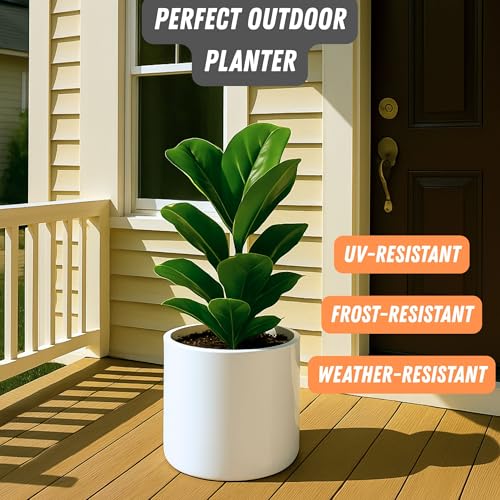 Large Planter for Indoor or Outdoor (Glossy White / 10 Inch)