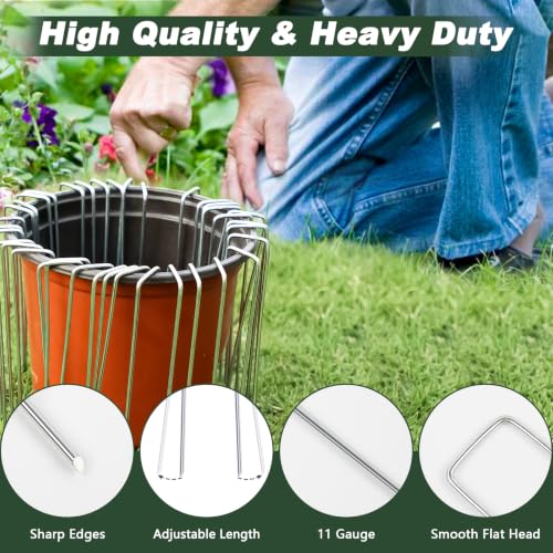 6 Inch 50 Pack Hot (50 Count)