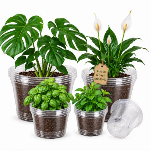 Clear Nursery Pots with Drainage Holes (6/8/9.5/12 Inch-20Pcs)