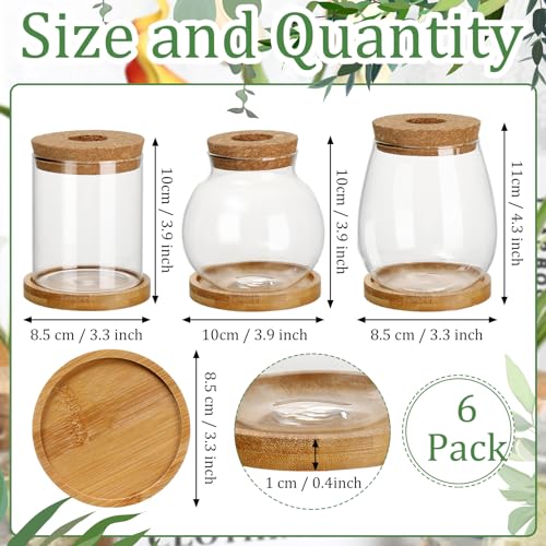 6 Pcs Glass Plant Propagation Station with Wood Lid & Stand (Classic)