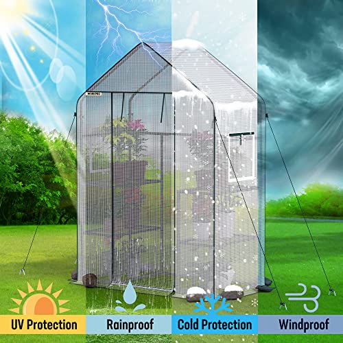 Greenhouse 56"X 28" X 77" Portable Small Greenhouses for Outdoors & Indoors