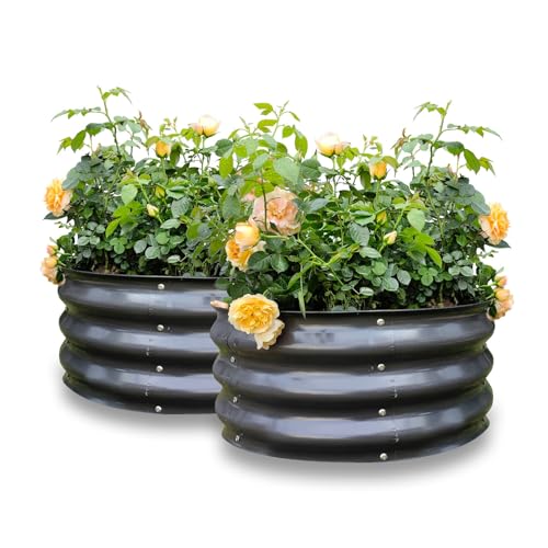 GARDMAX 2 Pack 2x2x1FT Galvanized Round Raised Garden Bed Kit (Dark Grey / 2 x 2 x 1 ft (Pack of 2))