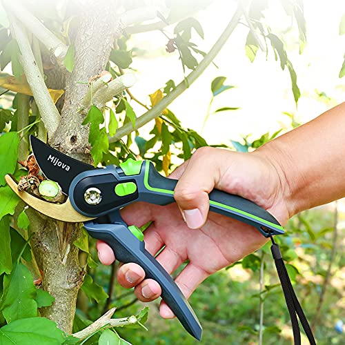Garden Shears & Clippers