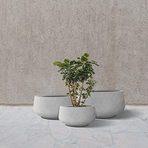 Set of 3 Pale Gray Concrete Curved Planters 21.6" 16.9" 12.5" Dia (Natural Concrete / 21.6",16.9",and 12.5" Dia)