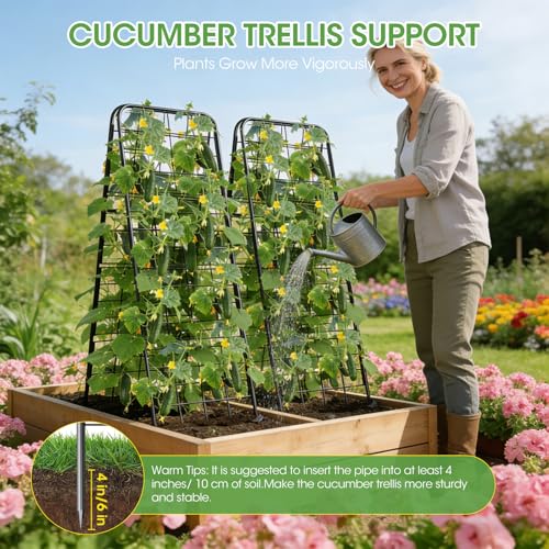 Heavy Duty Cucumber Trellis