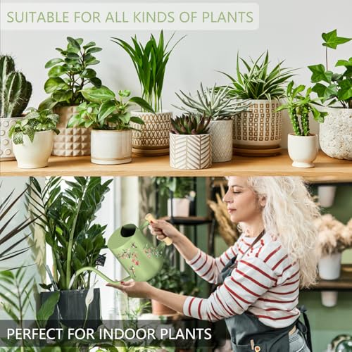 Watering Can Indoor Plants (Saga Green 2)