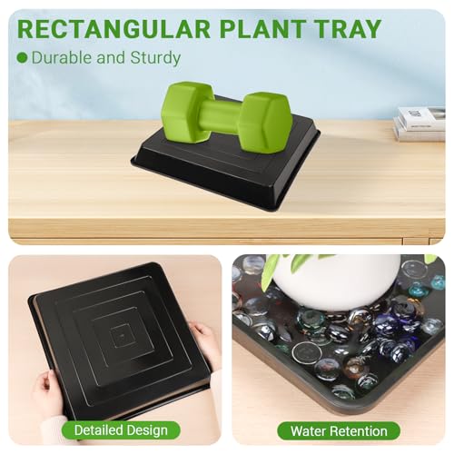 16 Inch Square Tray (16" / Black)