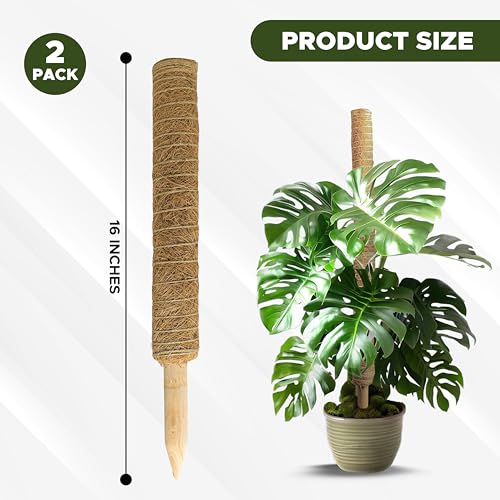 26.5" (2 Pack -16") Stackable Moss Pole for Monstera Plant Support | Moss Pole Sticks for Indoor Plants | Bamboo Plant Stakes,Climbing,Potted,Pothos| Philodendron & Creepers with Tie Accessory (16 Inches - (2 PCS))