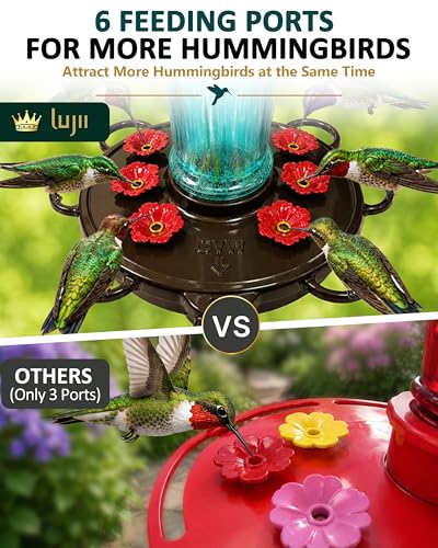 Smart Hummingbird Feeder with Camera for Outdoor Hanging (Blue / X-Large)