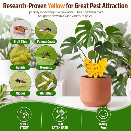 40 Pack Fungus Gnat Traps (40 Count)