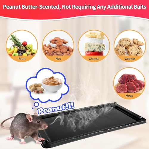 Sticky Mouse Trap (16 Count)