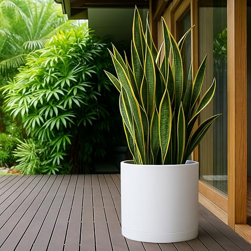 Plastic Planter Pot with Saucer