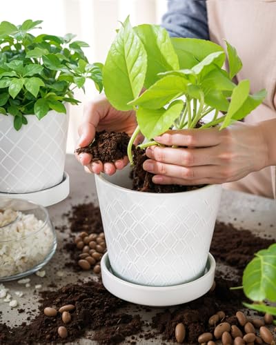 Flower Planter (4 Count)