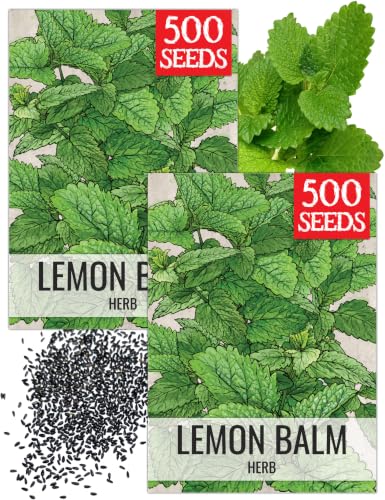 Lemon Balm Seeds to Plant Heirloom Non (2 Packs)