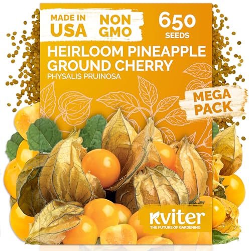650 Aunt Molly Ground Cherry Heirloom Vegetable Seeds