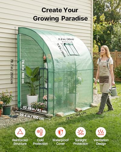 Walk in Greenhouse (Green / 6.5x3.3x6.6 ft)