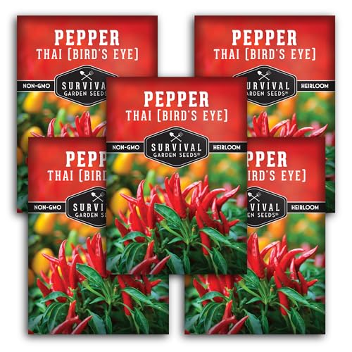 Thai Chili Pepper Seeds for Planting