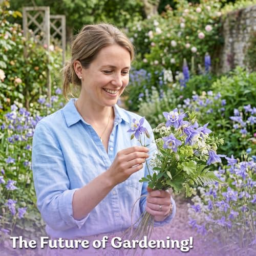500 Blue Columbine Heirloom Flower Seeds for Planting