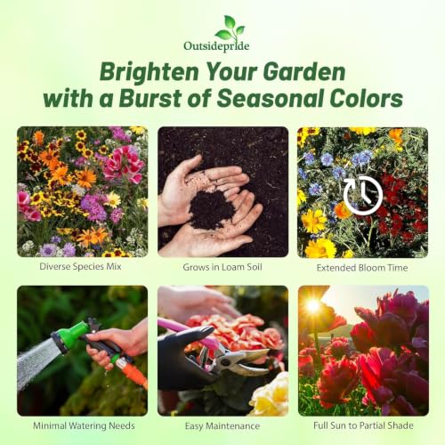Low Growing Wildflower Seeds (16 Ounce)