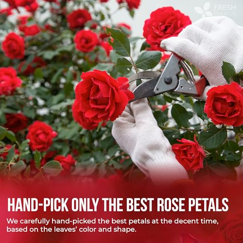 Premium 4oz Dried Rose Petals (4oz)