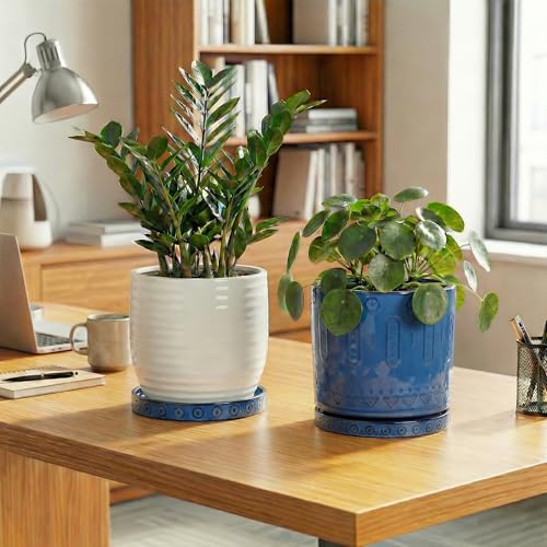 Plant Water Catcher Tray 7.5 Inch (7.5 Inch (2 Pack) / Blue)