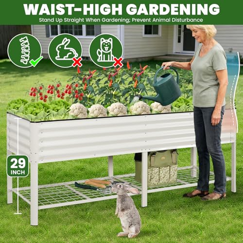 Elevated Raised Garden Bed Kit with Legs (2' x 6' / White with Legs & Storage Rack)