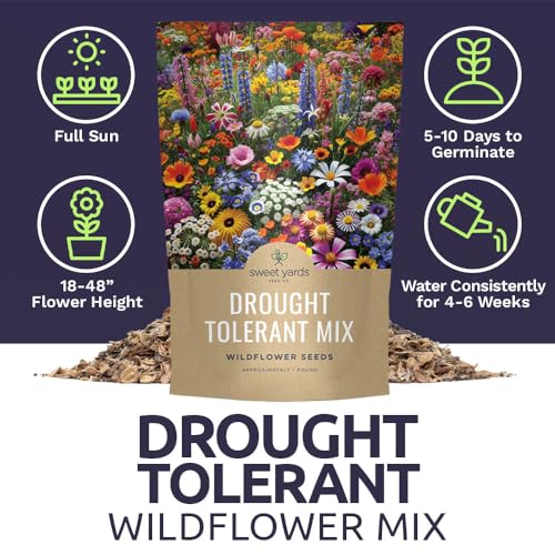 Drought Tolerant Wildflowers Mix (1 lb Bag)