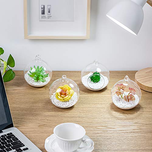 Hanging Glass Terrarium Planters (4 Count)