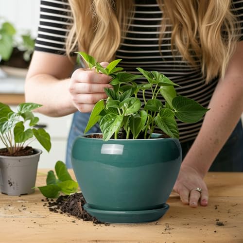 Indoor Plant Pot 6 Inch (6 Inch / Green)