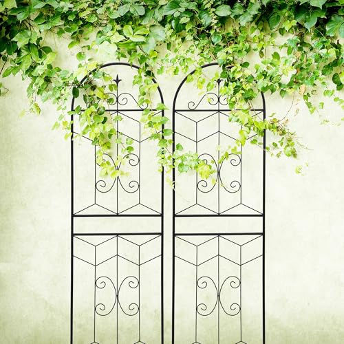 2 Pack 71x20in Garden Trellises with Black Metal Coating