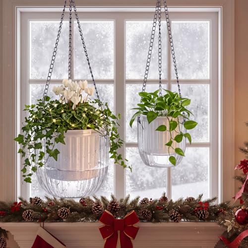 2 Pcs 6.5'' 4.5' Hanging Self Watering Pot for Indoor Plant (Clear / 6.5'' 4.5')